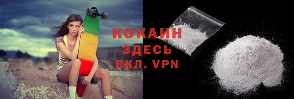прущие грибы Сосновый Бор