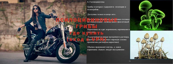 соль ск Беломорск
