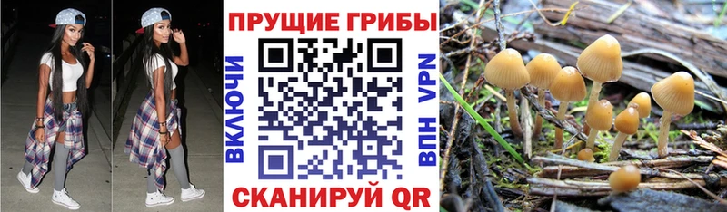 Псилоцибиновые грибы мухоморы  Вышний Волочёк 